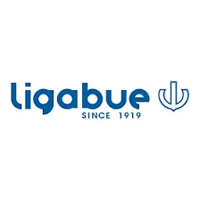 Ligabue